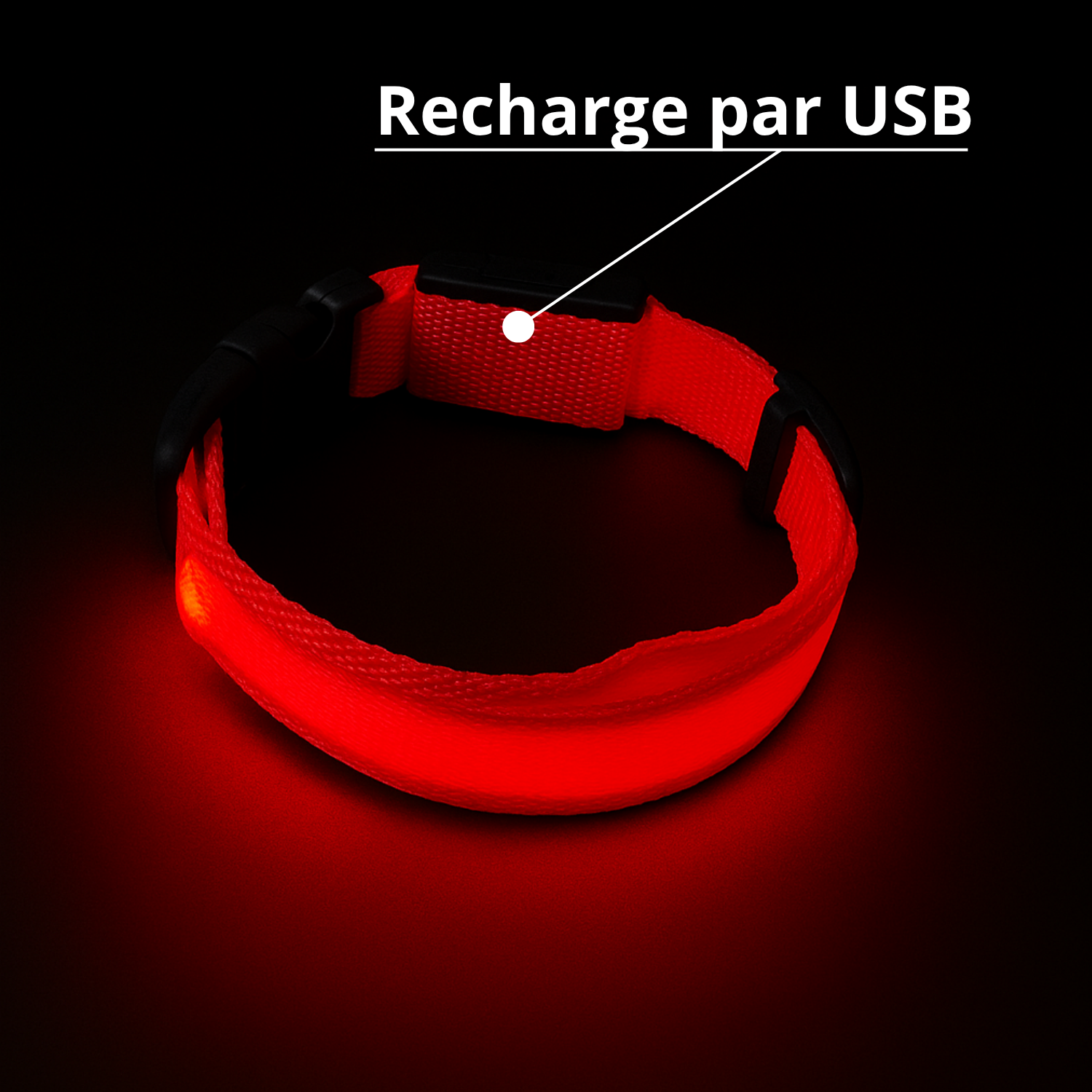 Collier lumineux Furly