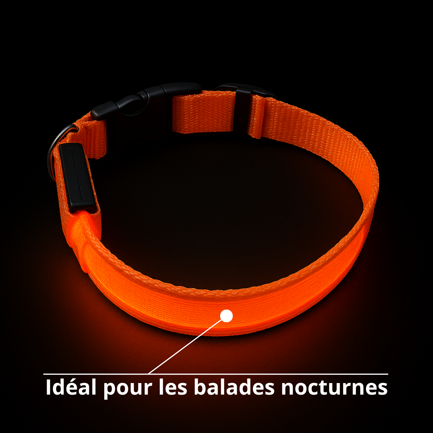 Collier lumineux Furly