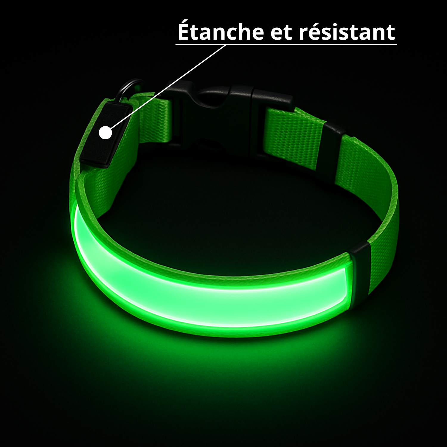 Collier lumineux Furly