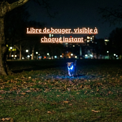 Collier lumineux Furly