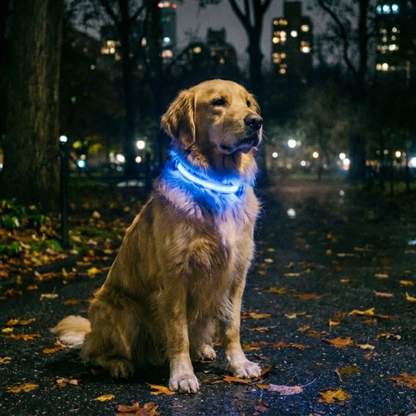 Collier lumineux Furly