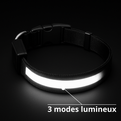 Collier lumineux Furly