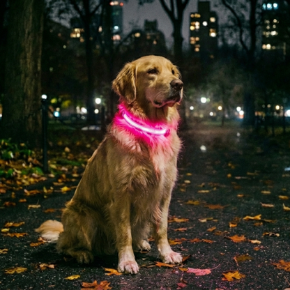 Collier lumineux Furly