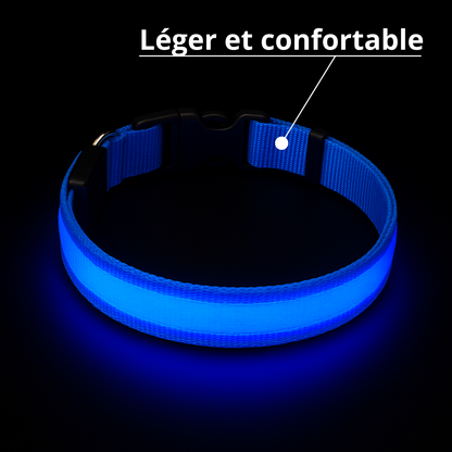 Collier lumineux Furly