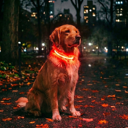 Collier lumineux Furly