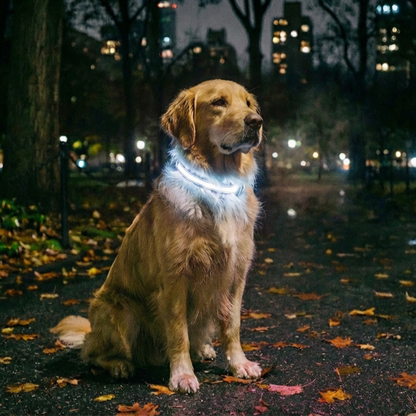 Collier lumineux Furly