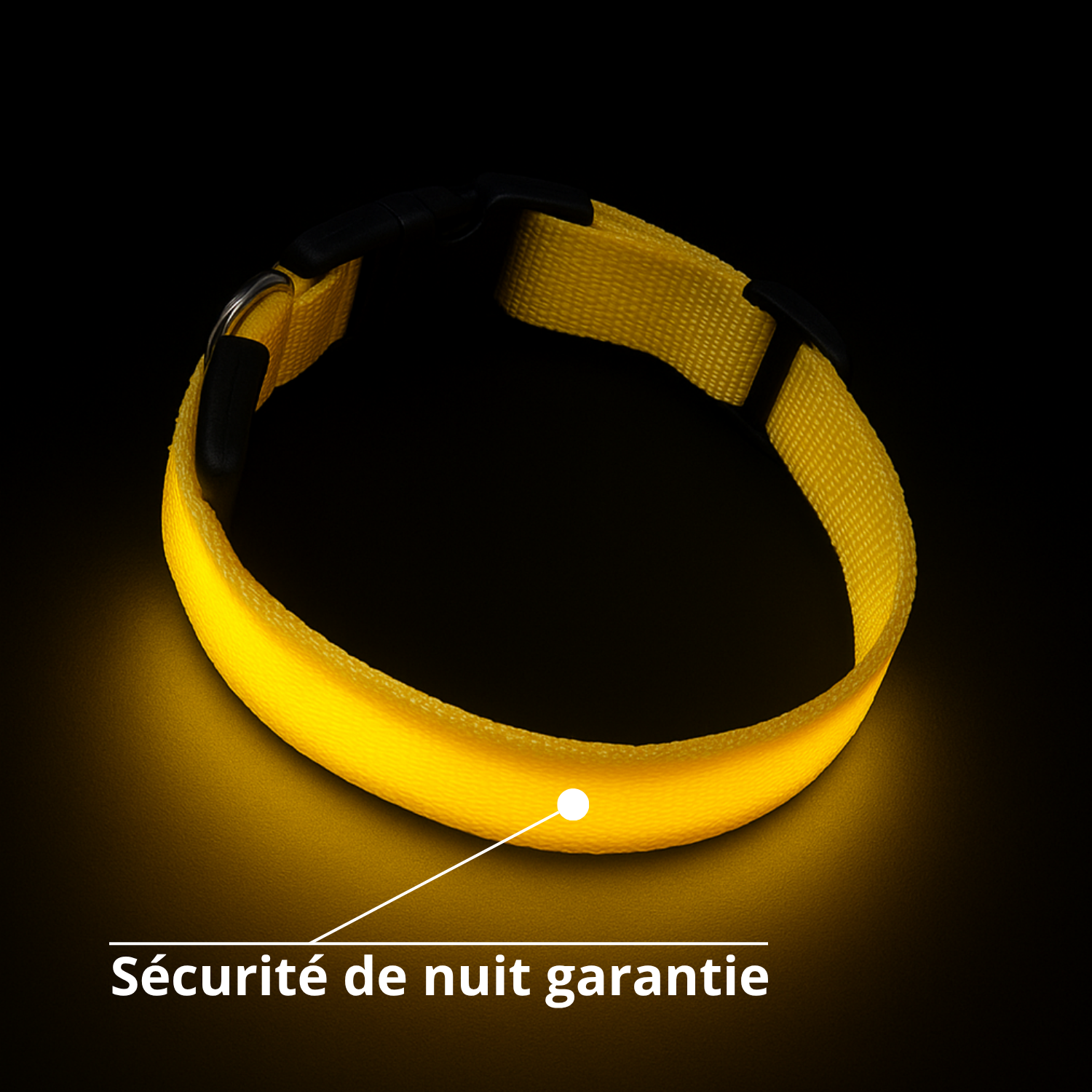 Collier lumineux Furly